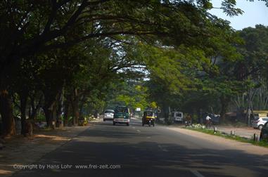 On the Route to Trivandrum,_DSC_9317_H600